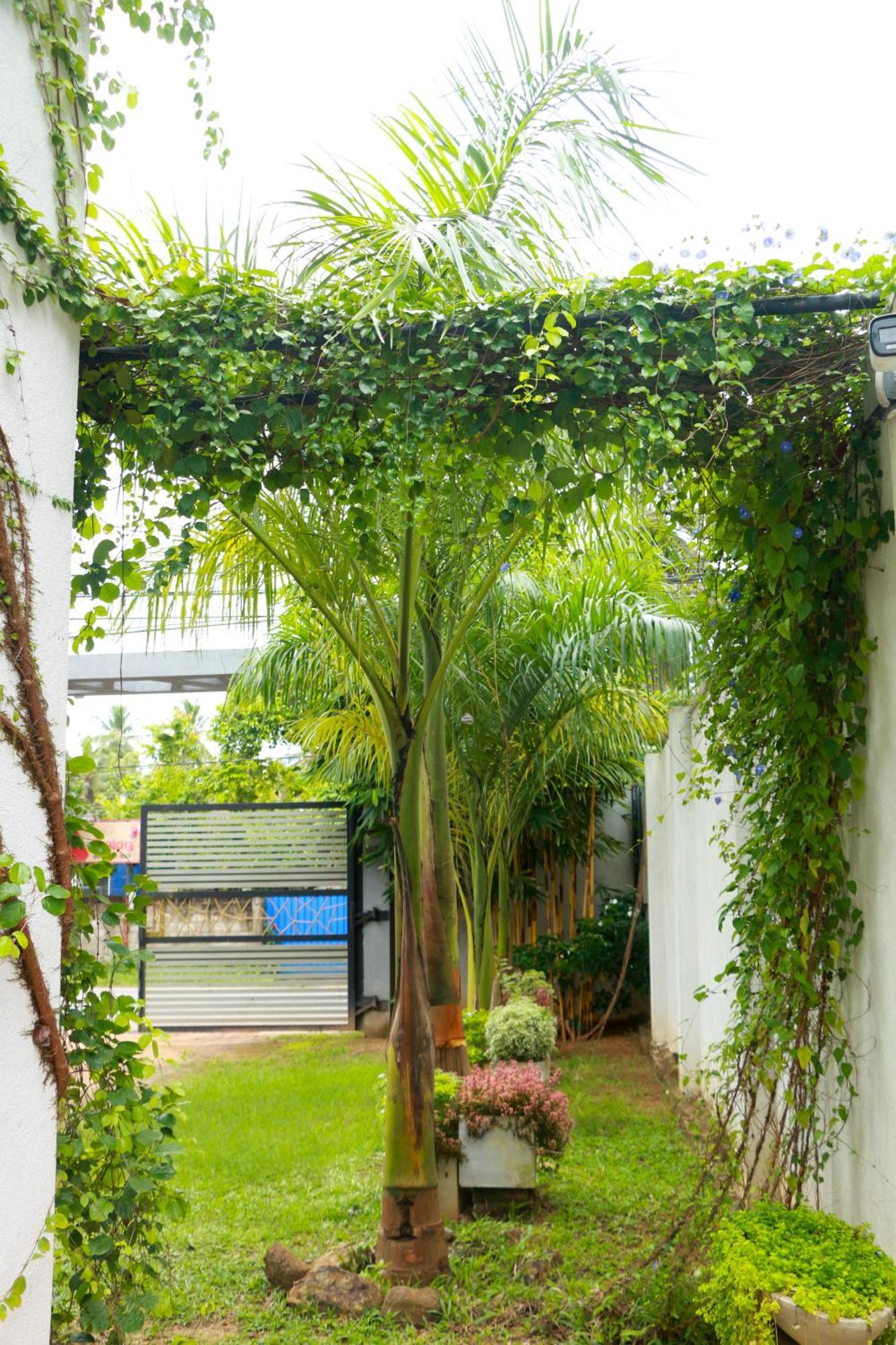 Venus Heaven Luxurious Villa แทนกาลเล ภายนอก รูปภาพ